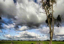 海星体育官网:波鸿vs法兰克福:帕斯拉克、霍恩首发,格策、埃基蒂克出战.