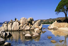 直到国家体育总局亲自宣布周继红退休,才懂郭晶晶那句话的含金量.